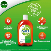 Dettol / 滴露 /  消毒藥水 / (1L) / 平行進口